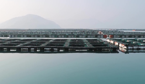 南艺UPVC管材在海水渔业领域应用