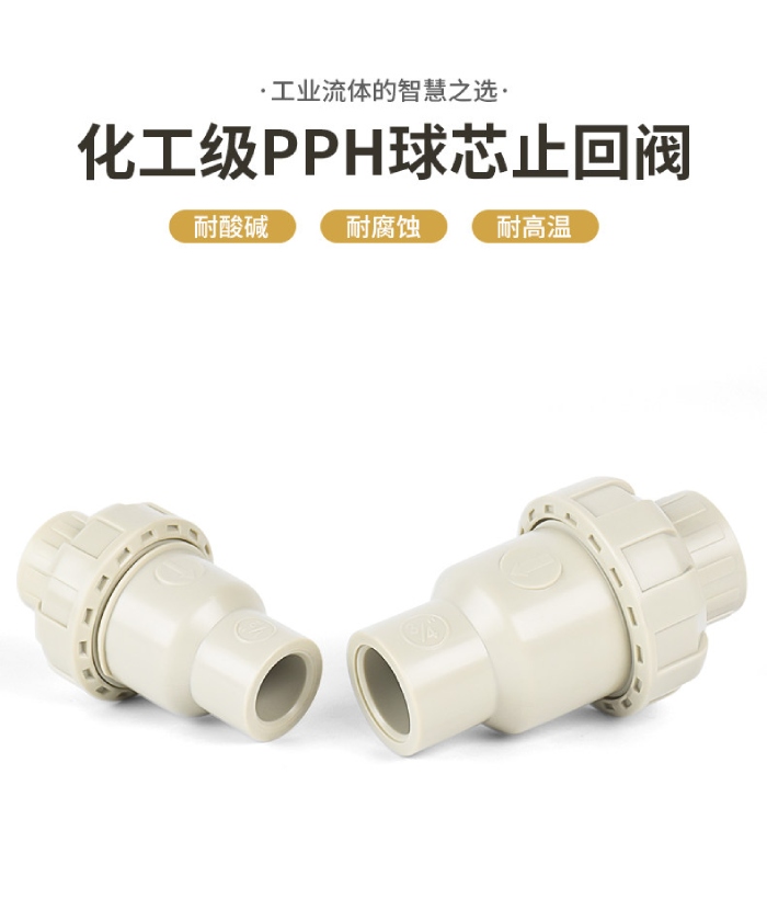 PPH球芯止回阀(图2)